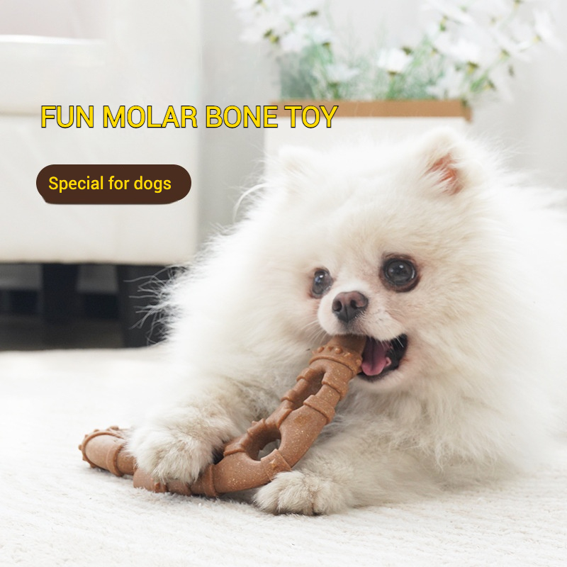 Jouet molaire d'imitation d'os - Teeth Cleaning Dog Chew Bone avis et prix