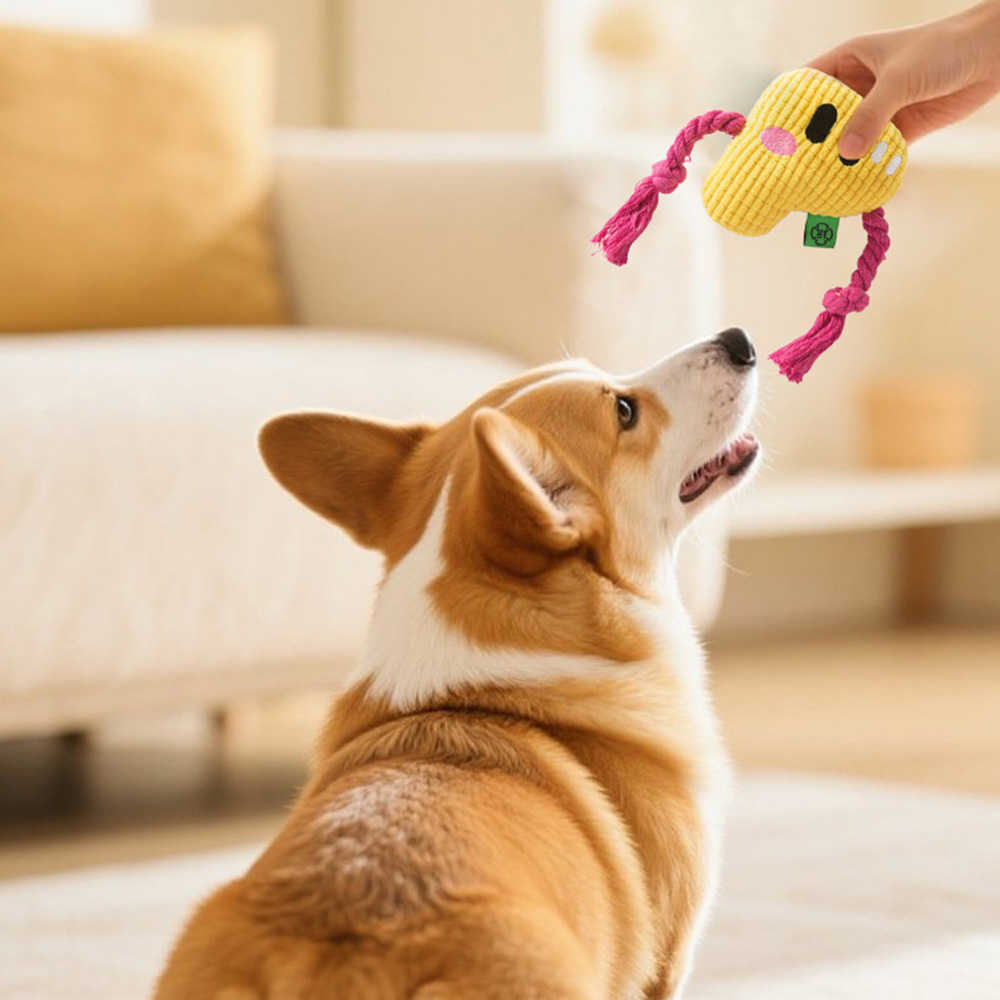 Jouet à mâcher pour chien – No - Dog Rope Toy Aggressive Chewers avis et prix