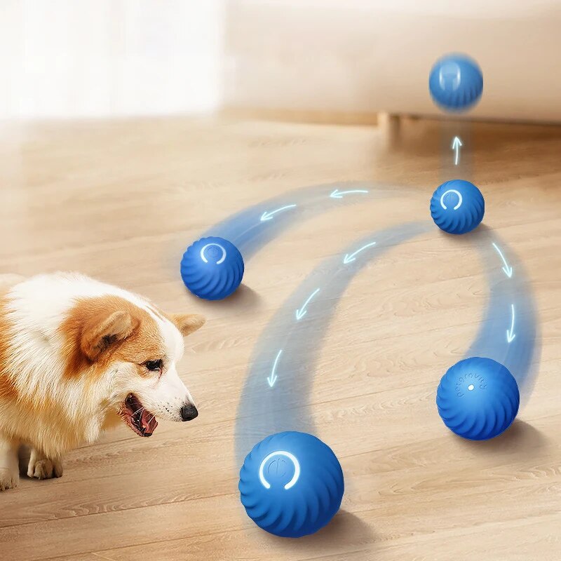 Boule roulante aste pour anima - Suction Cup Dog Tug Toy avis et prix
