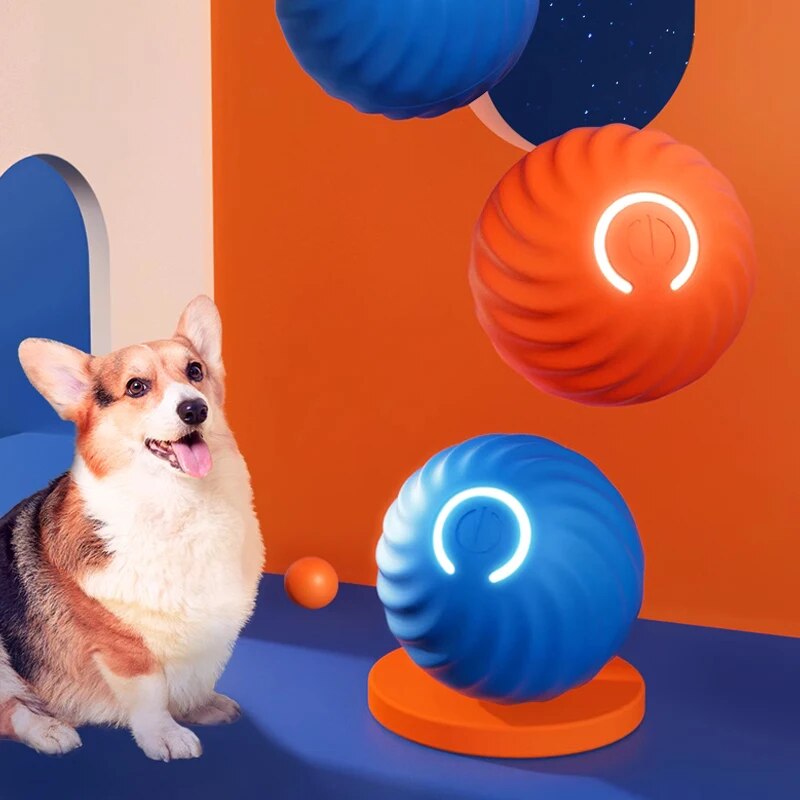 Boule roulante aste pour anima - Suction Cup Dog Tug Toy avis et prix