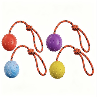Lot de 2 balles pour chien en  - Dog Rope Toy Aggressive Chewers avis et prix