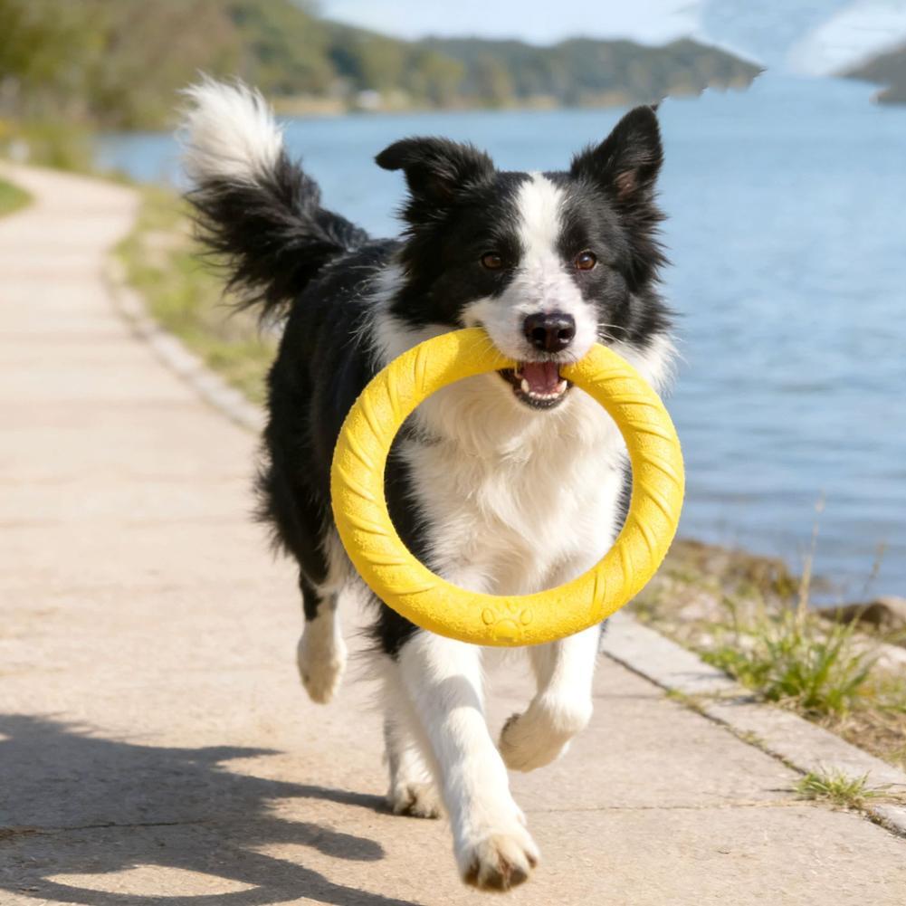 Jouets pour chiens : Anneaux i - Indestructible Dog Chew Toy avis et prix