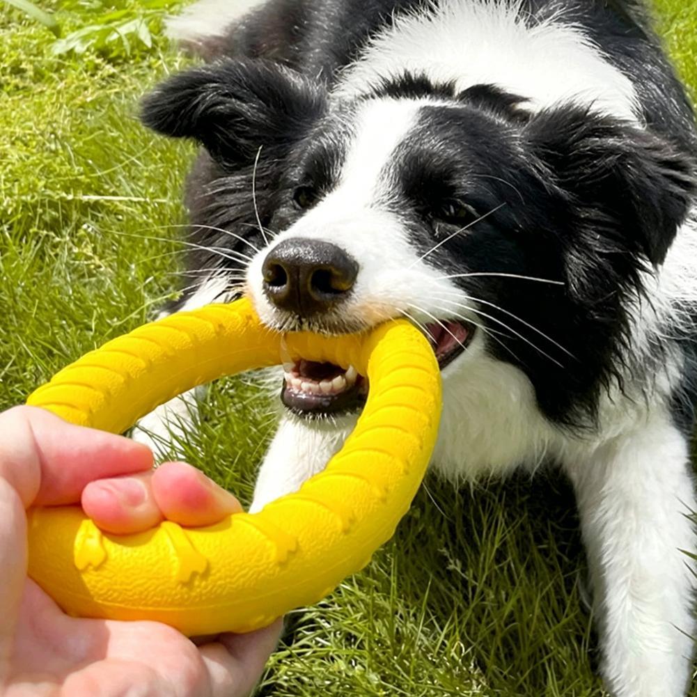 Jouets pour chiens : Anneaux i - Indestructible Dog Chew Toy avis et prix
