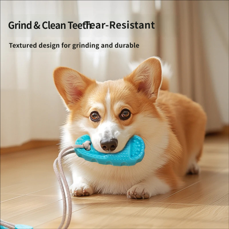 Jouet de traction pour chien à - Suction Cup Dog Tug Toy avis et prix