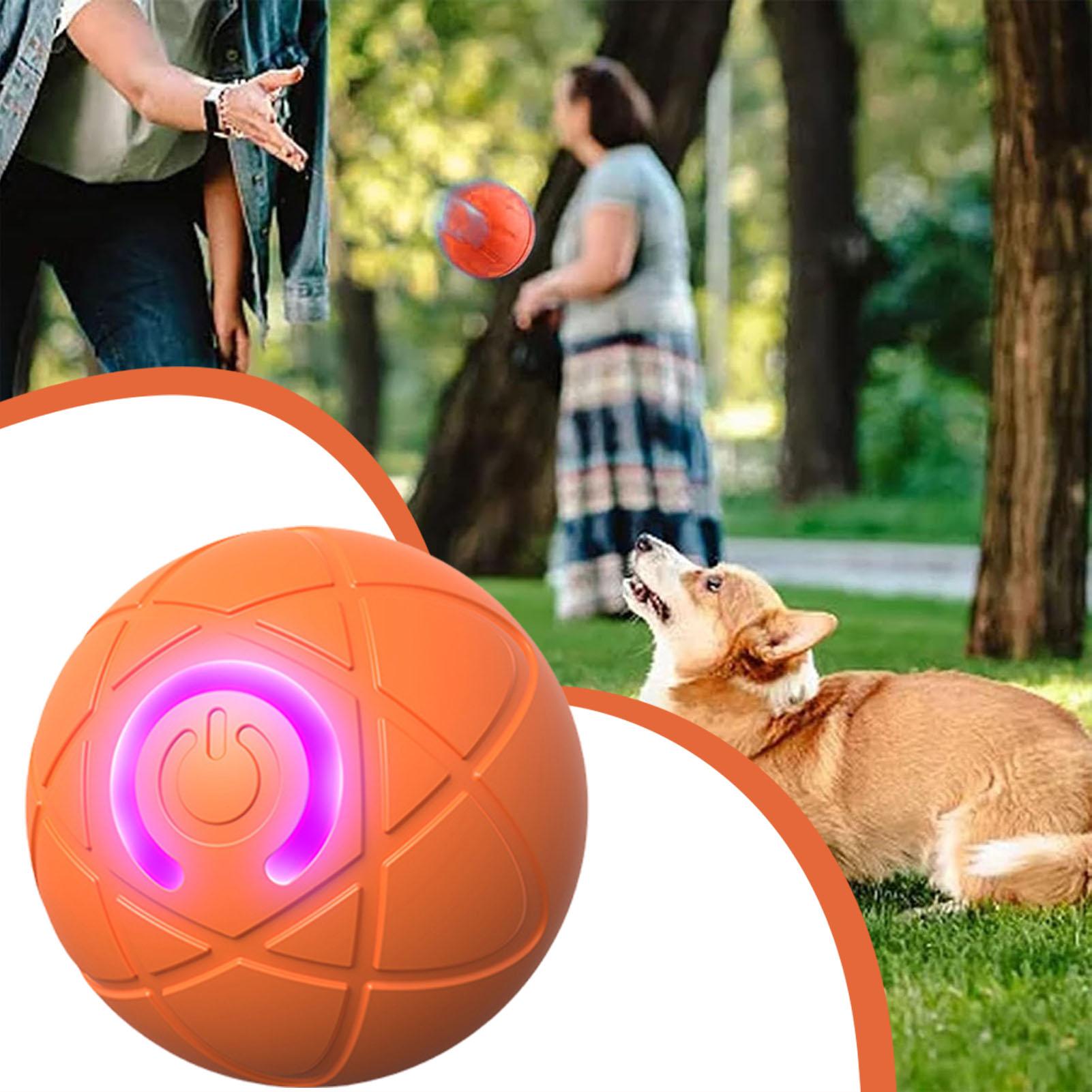 Balle de jouet pour chien, bou - Automatic Moving Dog Ball avis et prix