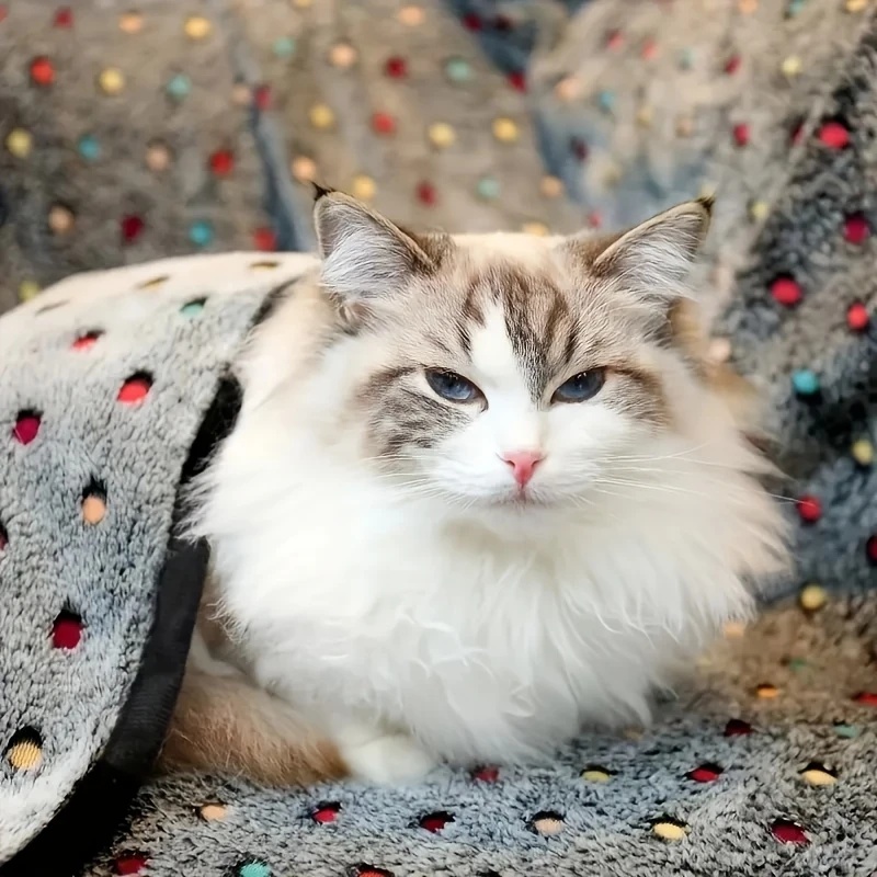 Couverture douce et moelleuse  - Pet Beds avis et prix