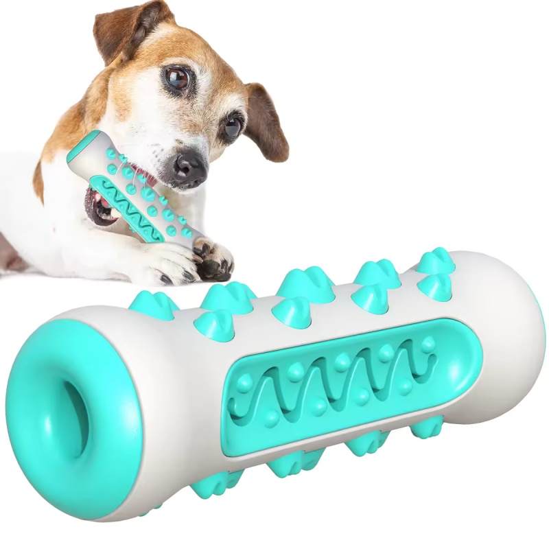 Jouet à mâcher en TPR pour chi - Teeth Cleaning Dog Chew Bone avis et prix