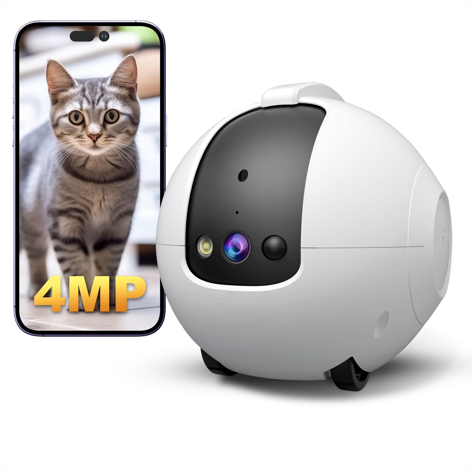 Caméra robot pour animaux de c - Dog Toys avis et prix