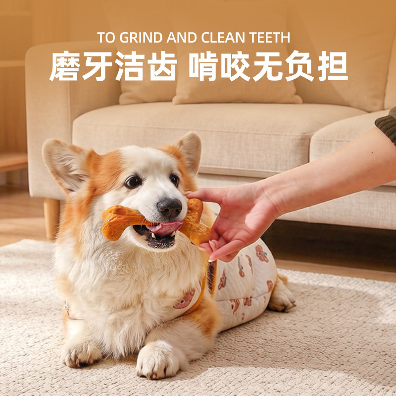 Jouet pour chien TPR durable,  - Teeth Cleaning Dog Chew Bone avis et prix