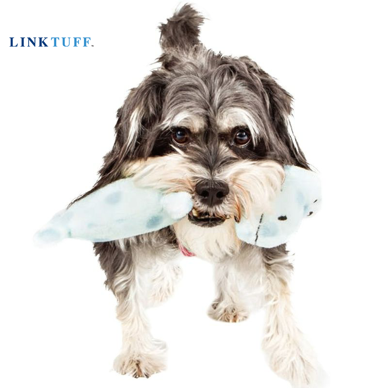 Linktuff – jouets d'entraîneme - Suction Cup Dog Tug Toy avis et prix