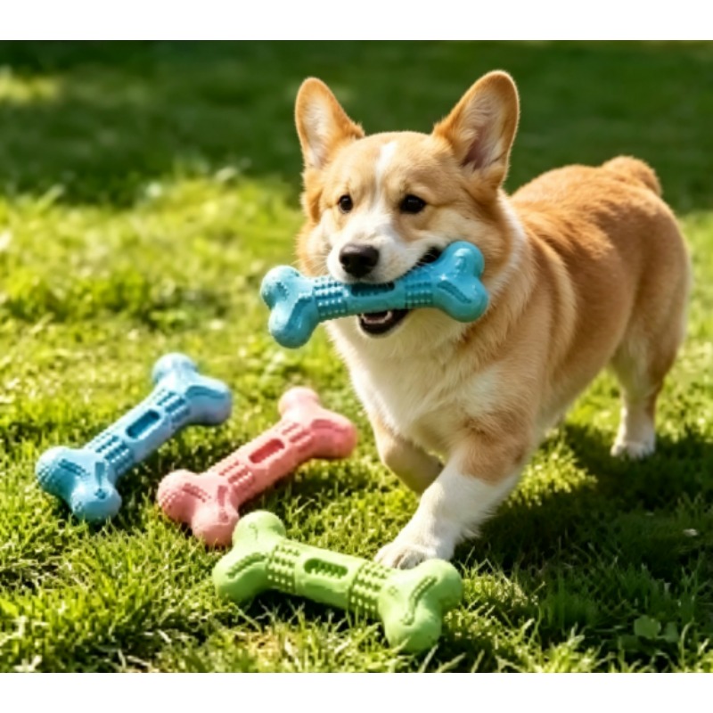 Nouvel ensemble de jouets à mâ - Teeth Cleaning Dog Chew Bone avis et prix