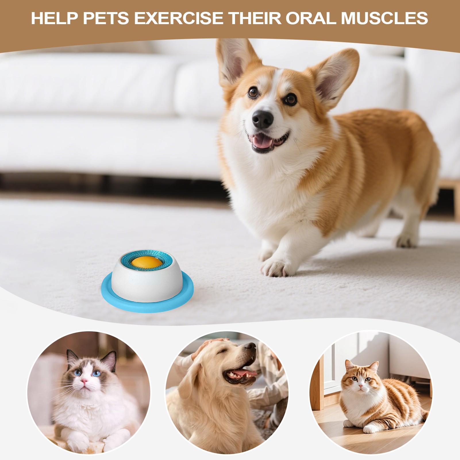 Jouet pour chien, accessoires  - Dog Puzzle Feeder Toy avis et prix