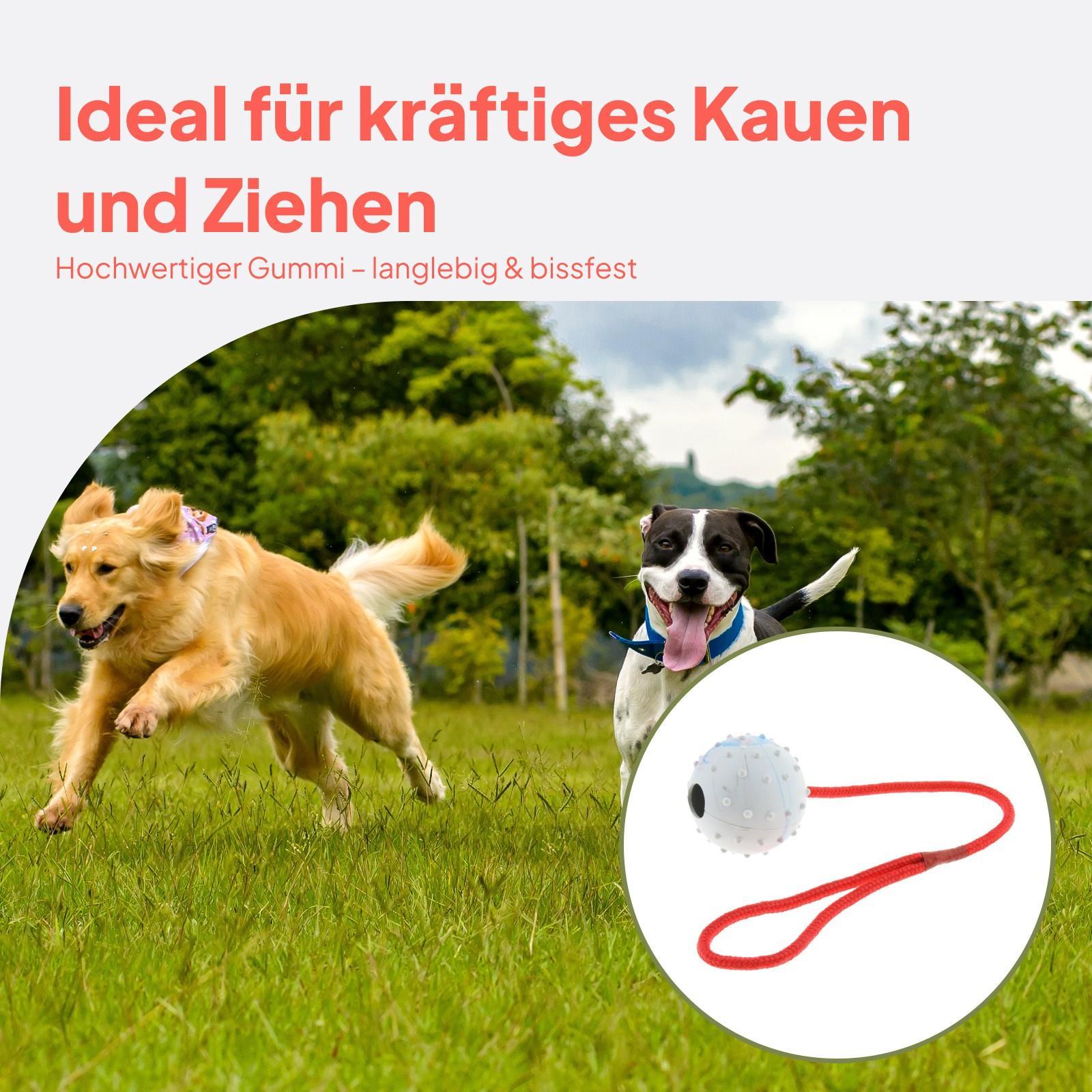 Jouet d'entraînement pour anim - Rubber Treat Dispensing Dog Toy avis et prix